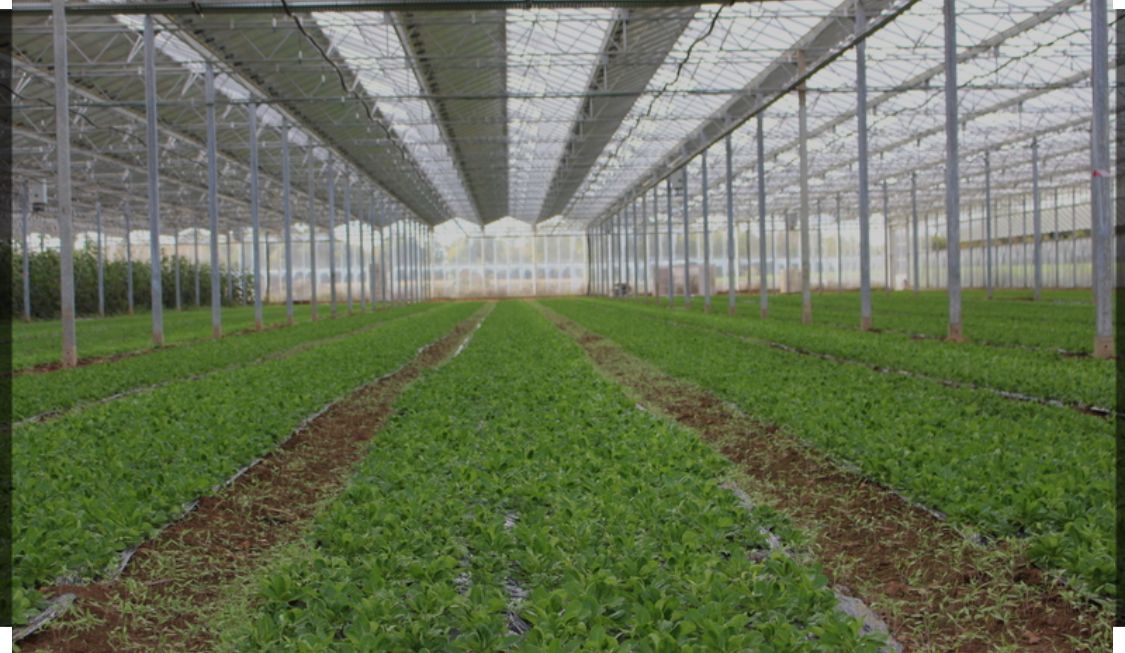 prestations agricoles