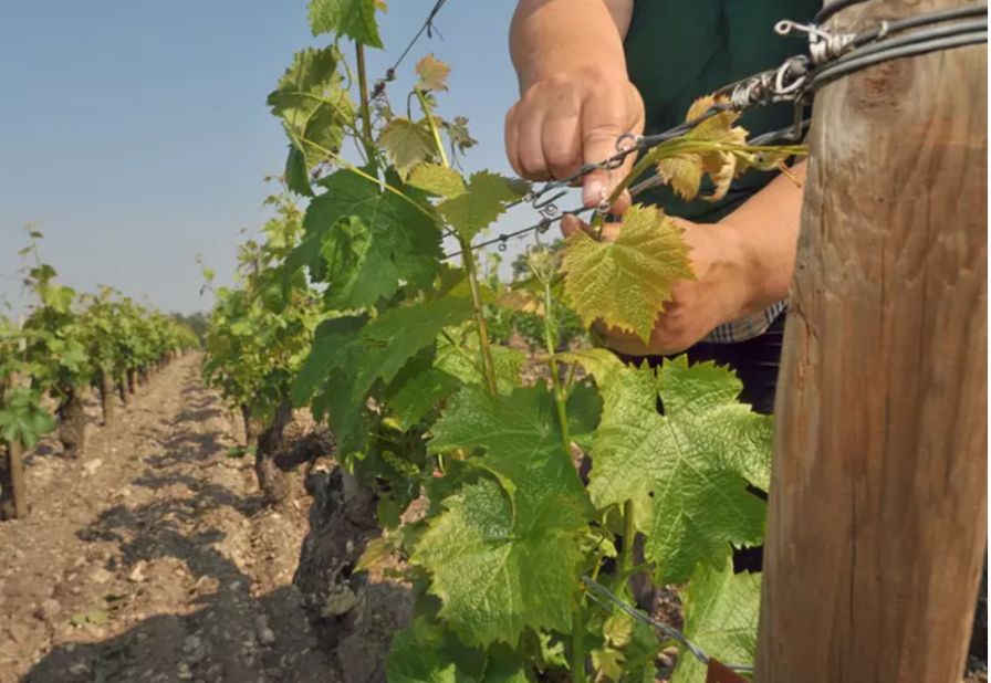prestations agricoles