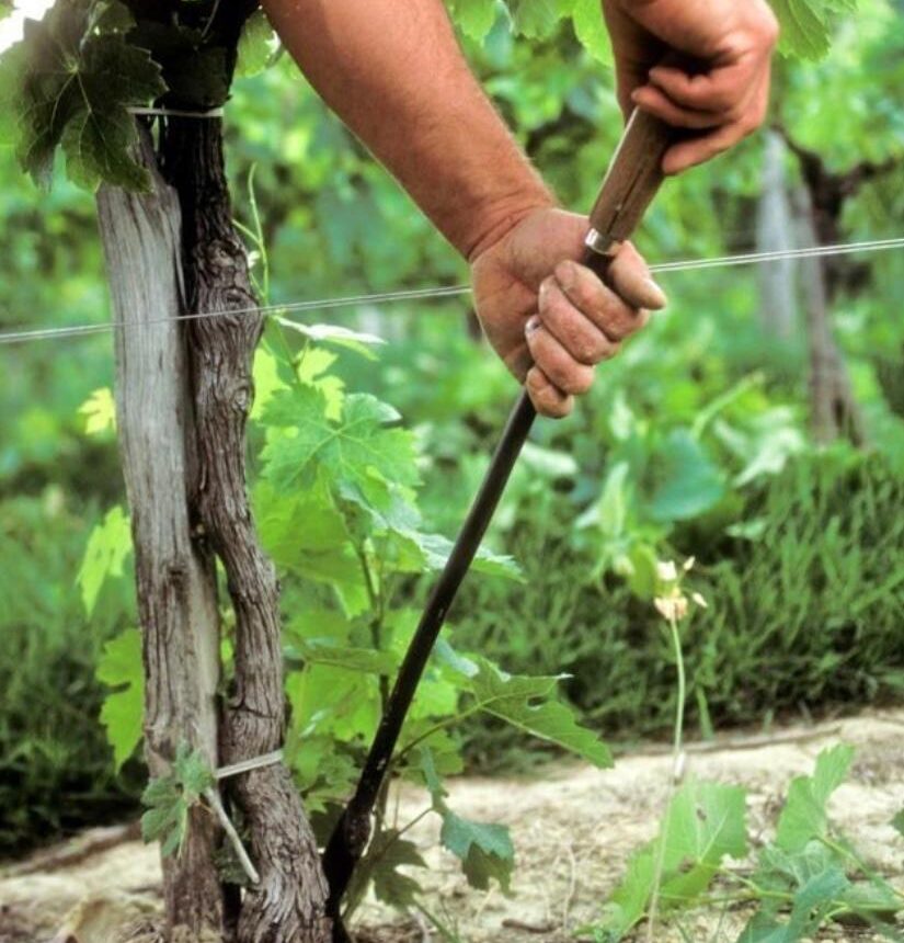 prestations agricoles